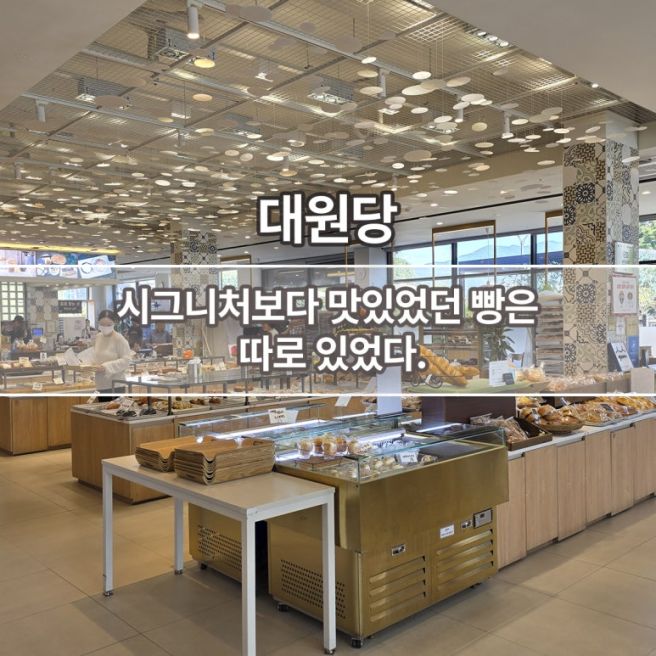 [춘천] 춘천 가면 대원당 꼭 가야 할까? 맘모스부터 쿠키슈크림까지 내돈내산 후기