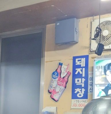 영주시티투어 토요일 물돌이코스 혼여행 후기