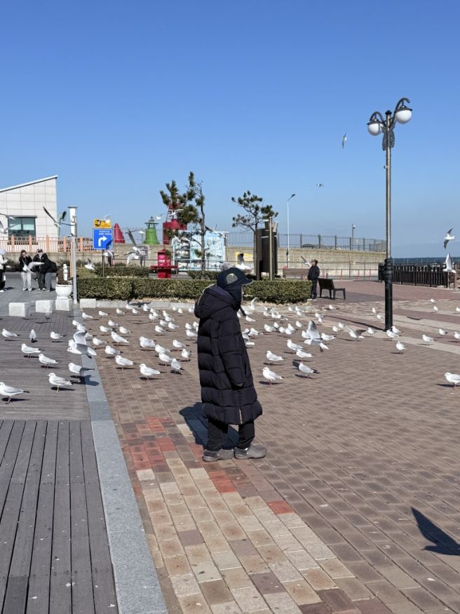 2026.01.12-14 포항여행 포항블루리본맛집 강산식당 ,포항가볼만한곳 호미곶해맞이광장