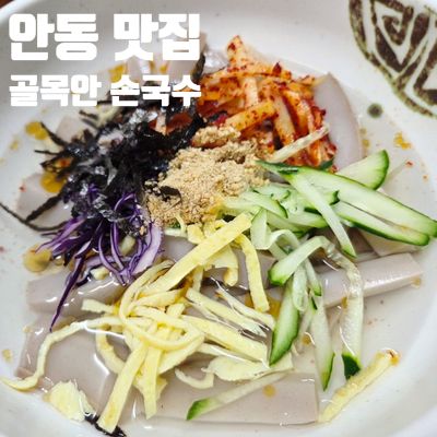 안동 시내 맛집 추천 :: 골목안 손국수