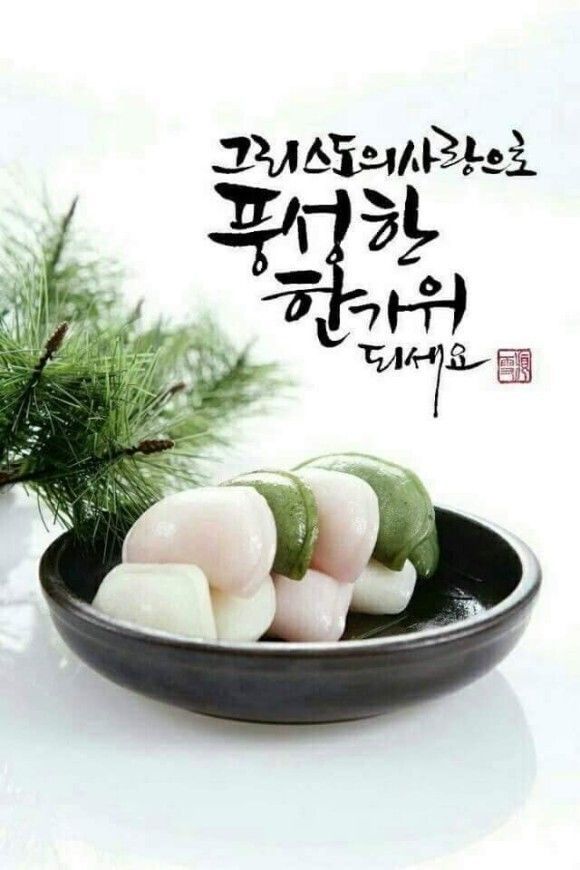 뷰어 이미지