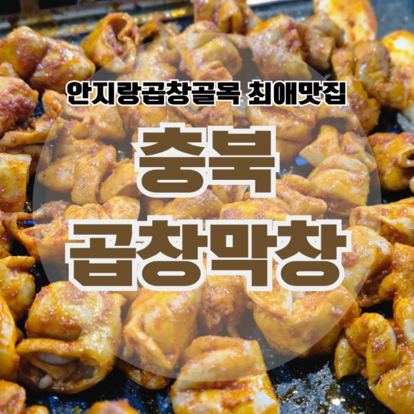 안지랑곱창골목 찐단골이 알려주는 대구맛집추천 충북곱창막창