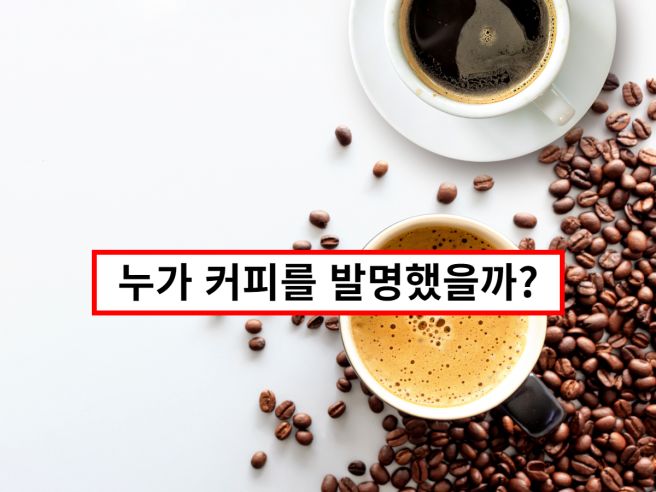 아비시니아커피 이미지