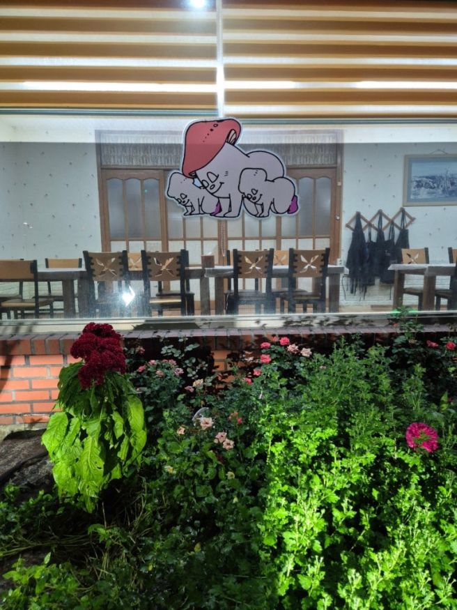 강원도 양양맛집 송이골