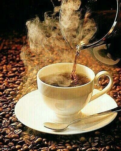 ��� �̹���