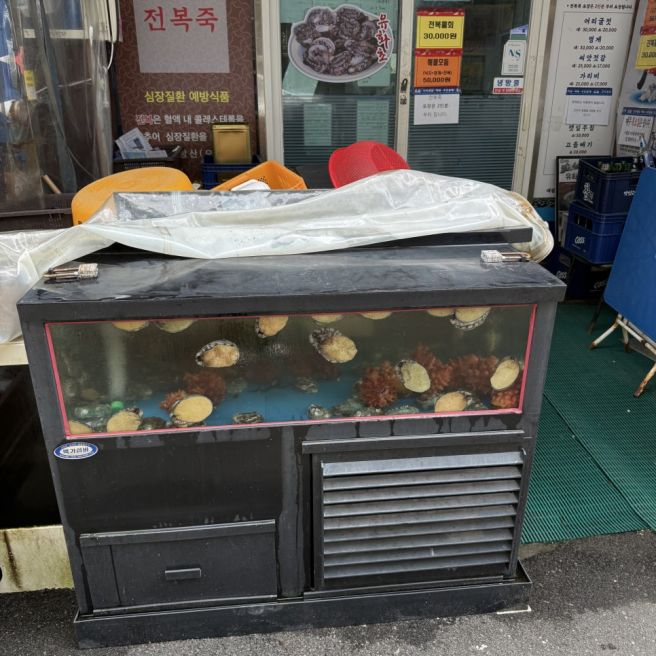 포항 죽도시장 맛집 유화초전복죽 또 가고 싶은 집