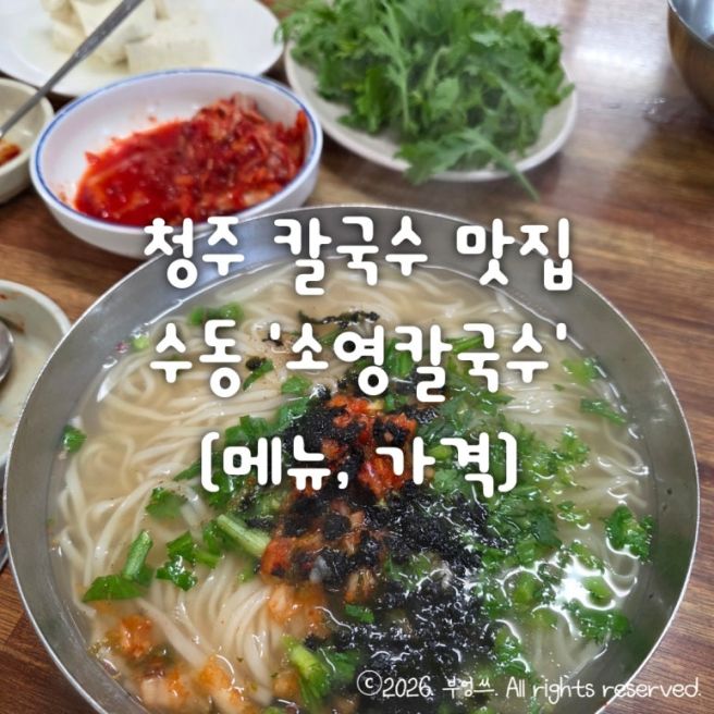 청주 칼국수 맛집 추천 수동 '소영칼국수' (메뉴, 가격)