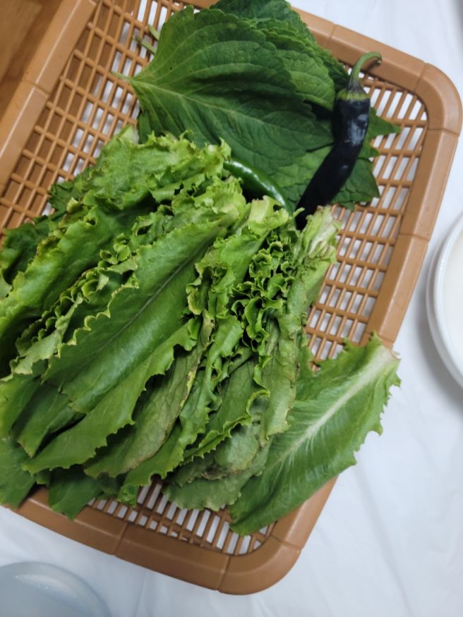 강진 여행 무위사, 백운동원림, 강진다원, 목리장어센터에 다녀왔어요.