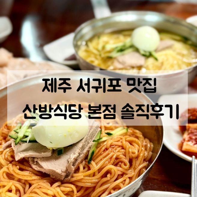 제주도민 추천 맛집 | 서귀포 산방식당 본점 재방문하고 싶은 곳!