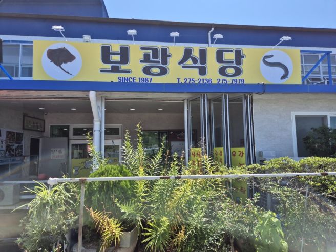 간재미 초무침 최고 맛집 신안군 도초도 보광식당