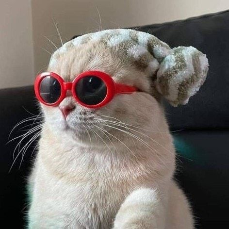 ［구미 산동］허영만의 백반기행 석쇠불고기 청국장 구미 한식 맛집:) 산동장안식당