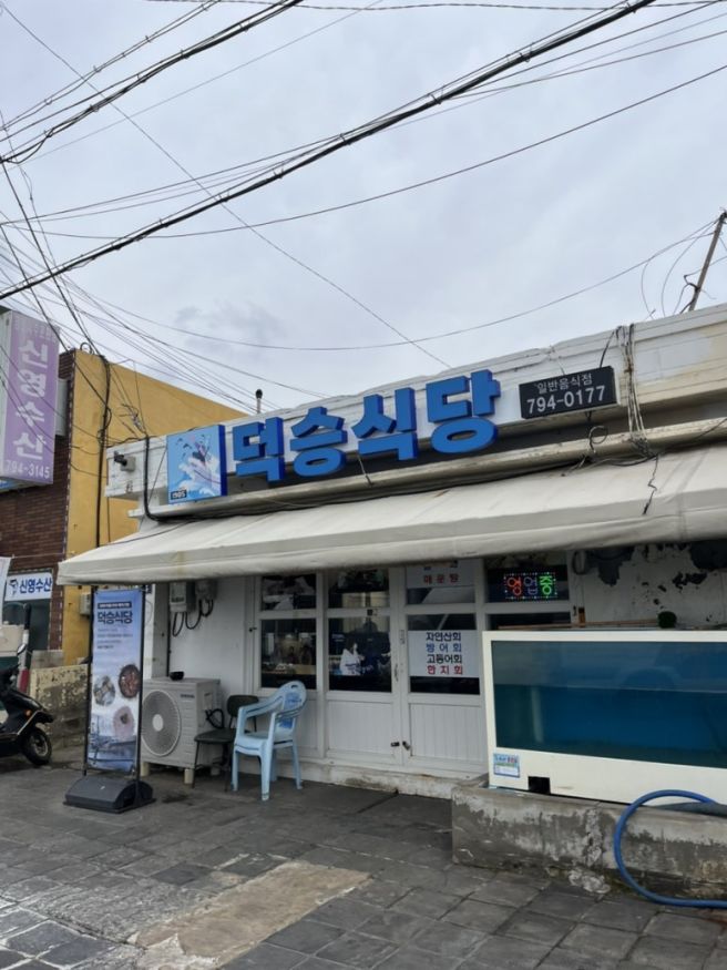 덕승식당 제주도 모슬포 갈치조림 고등어회 맛집