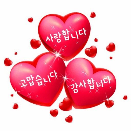 (내돈내산) 「여왕벌과 두 번째 금요일 별미투어☔️비 오는 날 찾아간 추억의 맛집👉신천동 고향집칼국수」