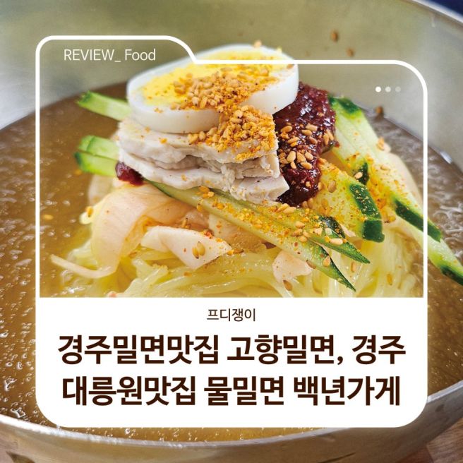 경주밀면맛집 고향밀면, 경주대릉원맛집 물밀면 백년가게