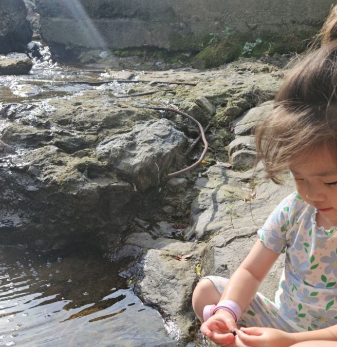 [공지] 충주 수안보 송림농원펜션 아이와함께 동물보고 물놀이하고 여름계곡 완전정복