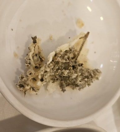 보은 속리토속음식점 : 속리산 맛집 추천 맛깔나는 산채나물 정식