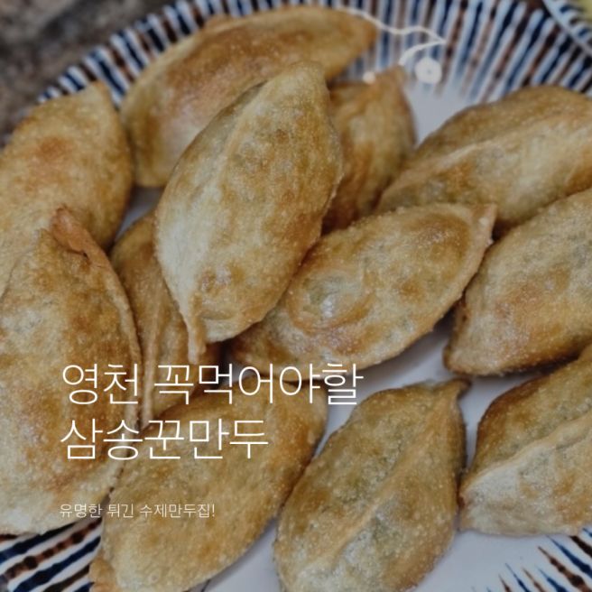 삼송꾼만두 영천본점 가격 주차 꼭먹야할 맛집
