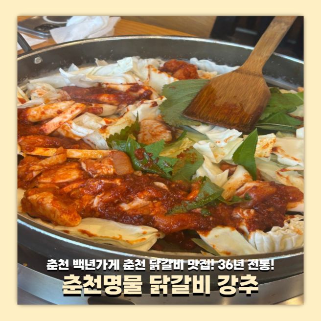 춘천 닭갈비 백년가게 맛집 춘천명물닭갈비