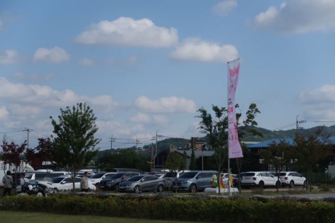 [영주 가볼만한 곳] 2026 영주 소백산 철쭉제와 영주맛집 <약선당>