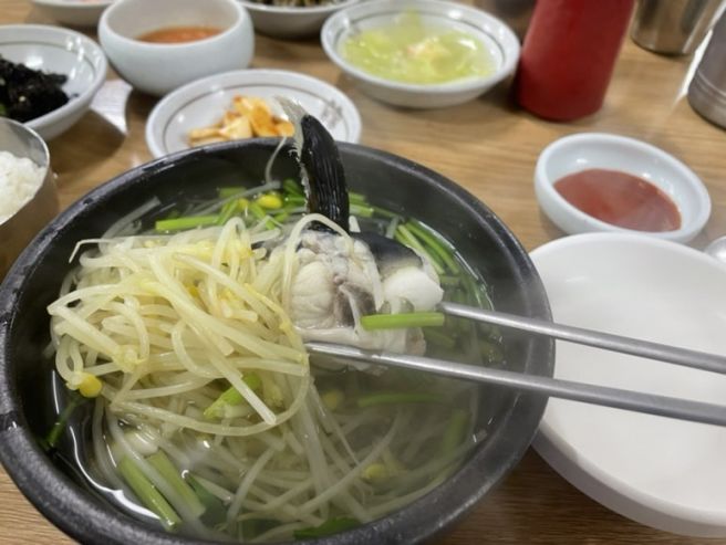 [경남 진주] 진주맛집 하동복집에서 제대로 느낀 복국의 진수