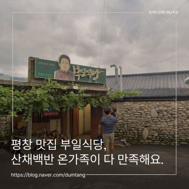평창 맛집 부일식당, 산채백반 온가족이 다 만족해요.
