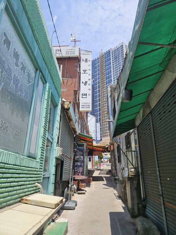 부산 남구 우암동 밀면의 원조 [내호냉면 본점]