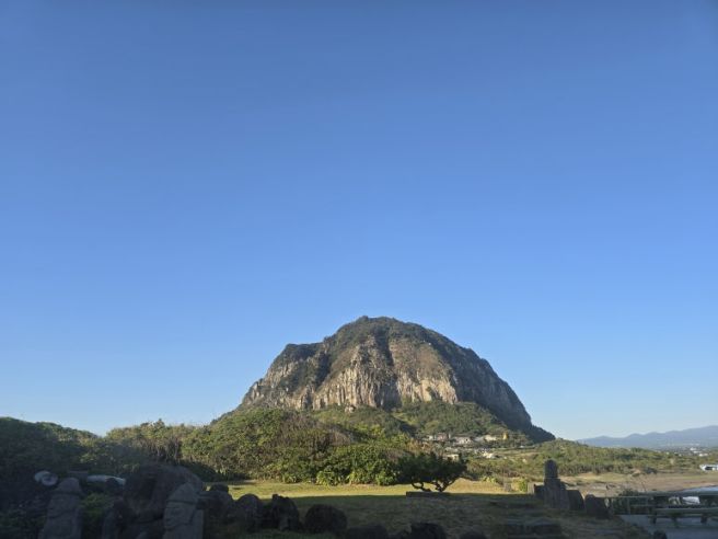 다금바리맛집 제주 남경미락