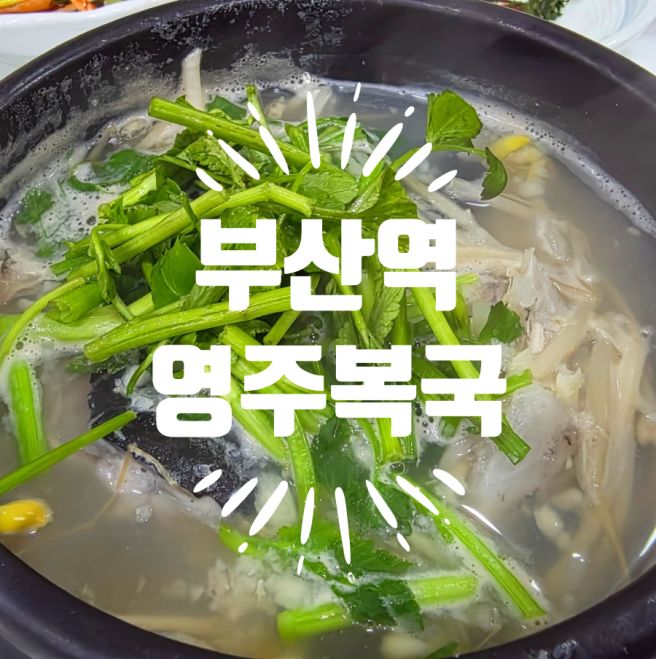 부산역 해장 돼지국밥 말고 복국 최고의 해장국 블루리본 맛집 영주복국