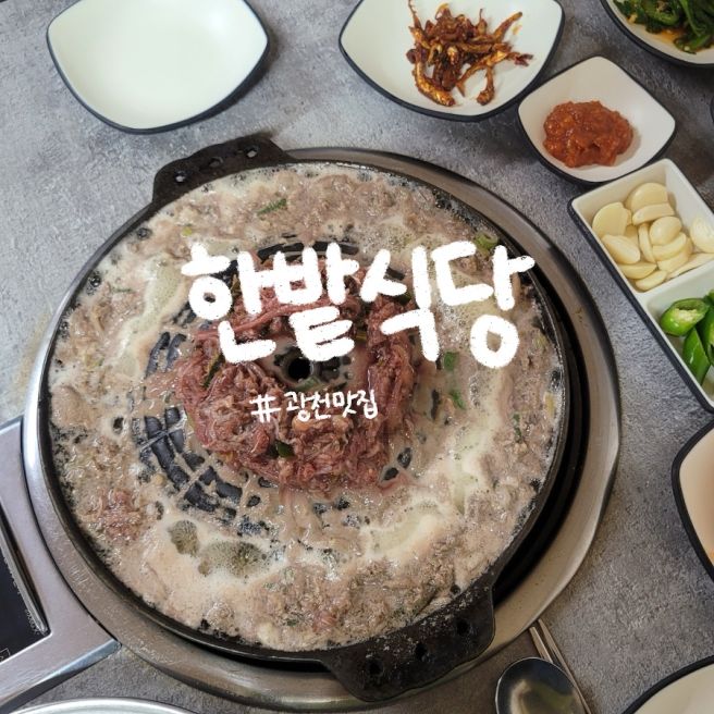 홍성 광천 오서산 맛집 한우 불고기 맛있는 광천 한밭식당