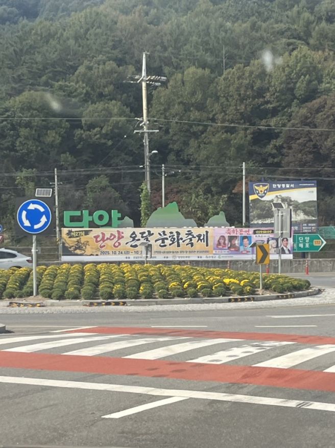 단양구경시장 근처 맛집 추천 ! 마늘더덕주물럭 자연식당