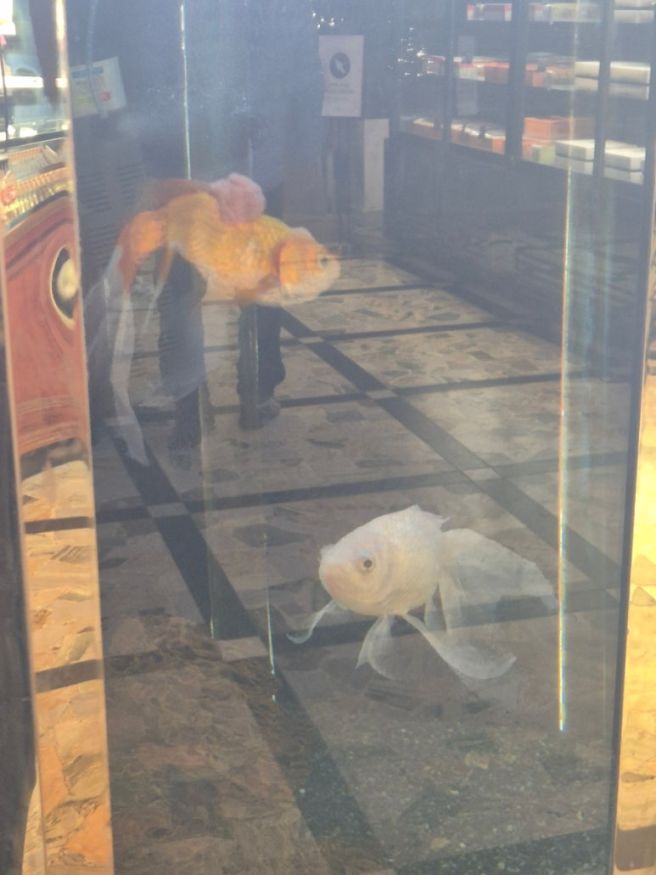 서울 중구 동대입구역 태극당 베이커리 후기