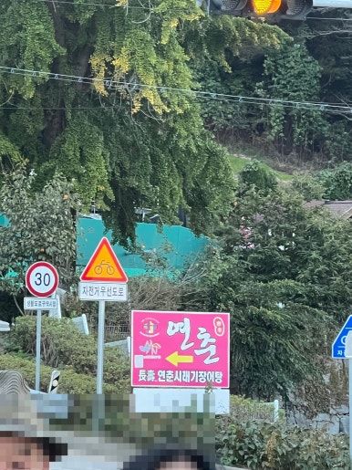 아산 신정호 맛집 추천 "연춘식당"