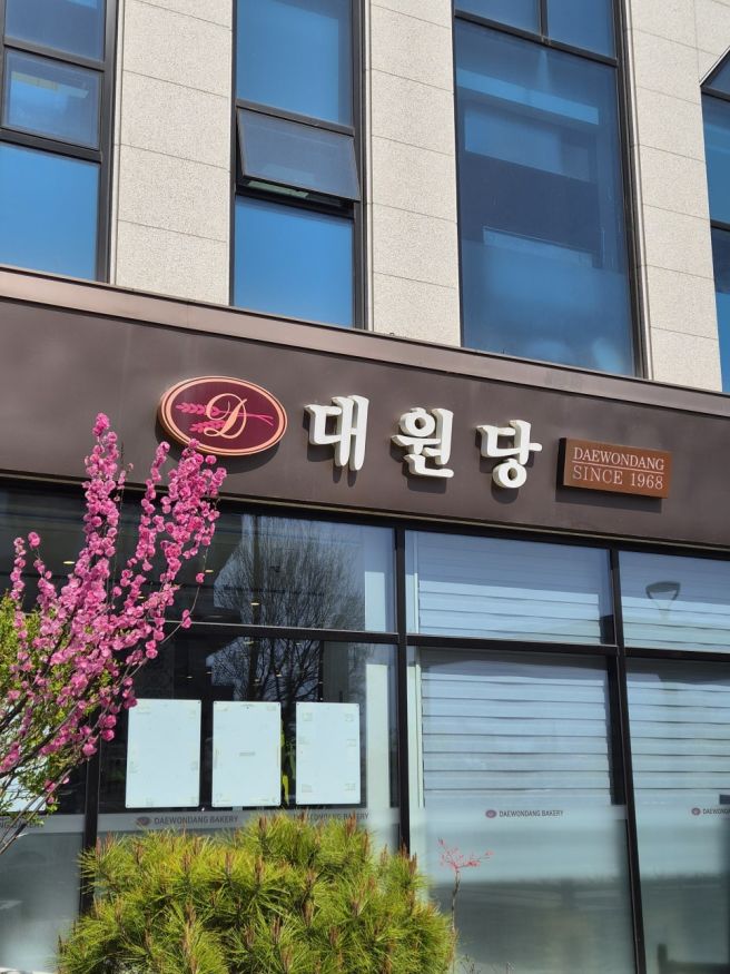 춘천의 성심당 베이커리 카페 대원당 케이크 주차