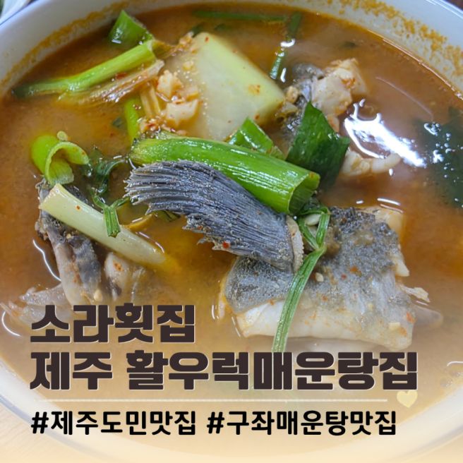 구좌맛집 소라횟집 제주 현지인이 알려준 활우럭매운탕