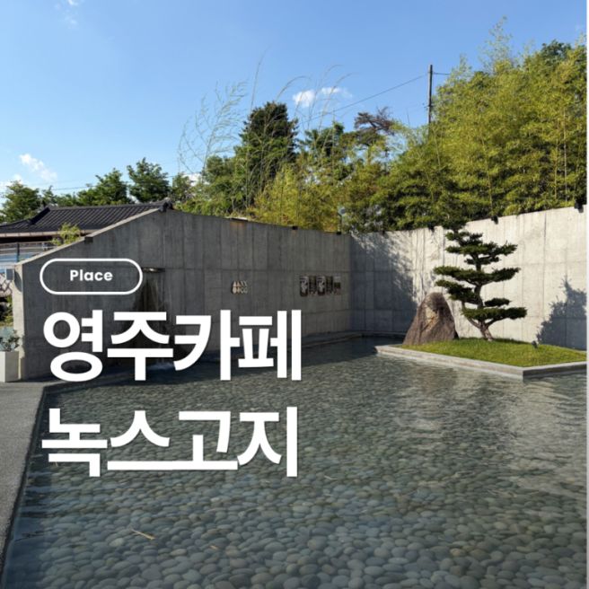영주맛집 영주카페 영주뷰맛집 녹스고지