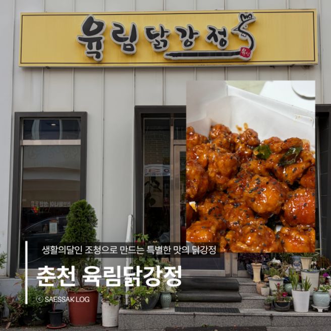 [춘천] 명동 맛집 육림닭강정｜생활의달인 조청 닭강정 + 호두정과