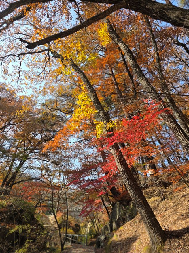 김천 청암사 + 명성반점