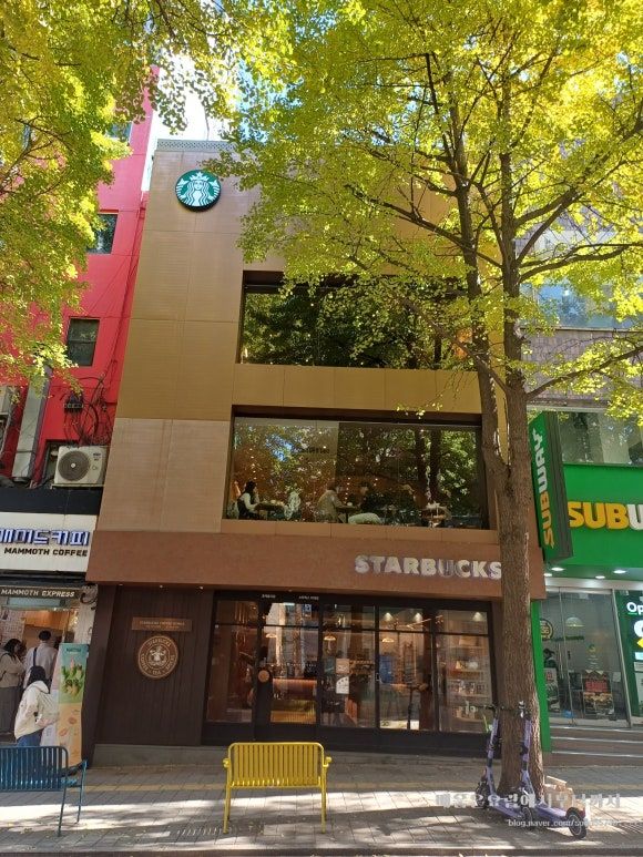 [프시케의 일상] 가미 분식 &amp; 스타벅스 1호점