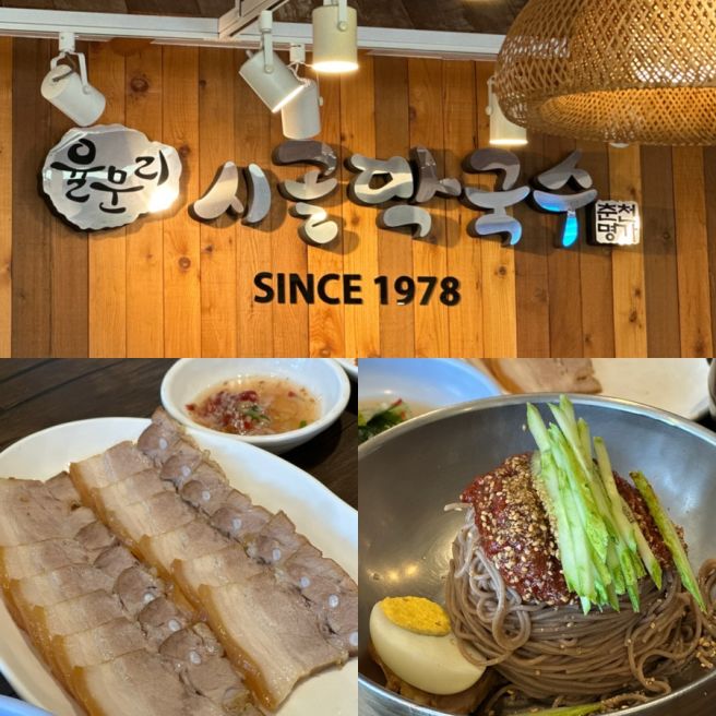 춘천 막국수 현지인 내돈내산 맛집 추천, 율문리 시골막국수 자가제면 들기름막국수 주말웨이팅