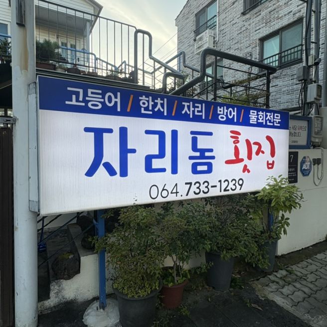 서귀포 고등어회 [자리돔횟집] 웨이팅 뚫고 먹은 제주 찐맛집