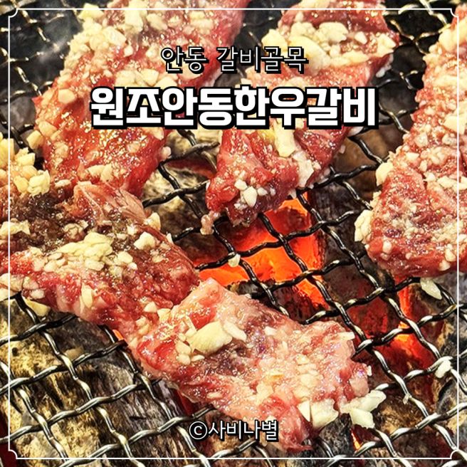 안동 갈비골목 원조안동한우갈비 마늘갈비 즐기기