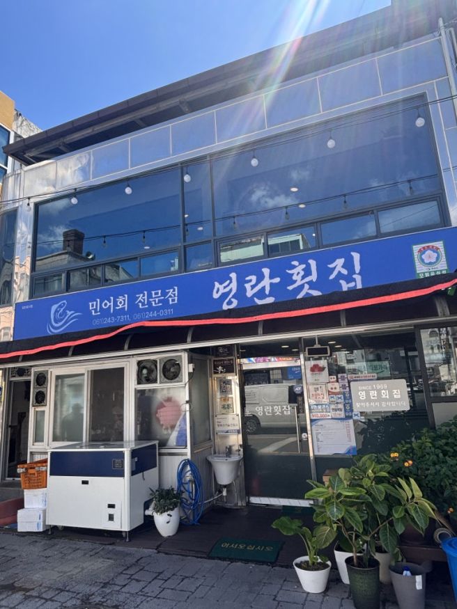 🟠 목포 민어맛집 영란횟집｜3인 민어코스 13만원, 회·전·무침·탕까지!