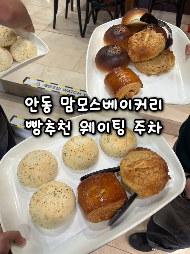 안동 맘모스제과 본점 웨이팅 성공, 맘모스베이커리 빵추천 주차 후기