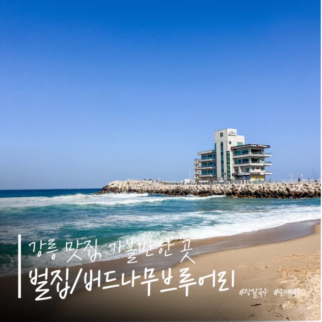 [강릉 가볼만한 곳] 강릉 벌집 장칼국수, 수제맥주 버드나무 브루어리