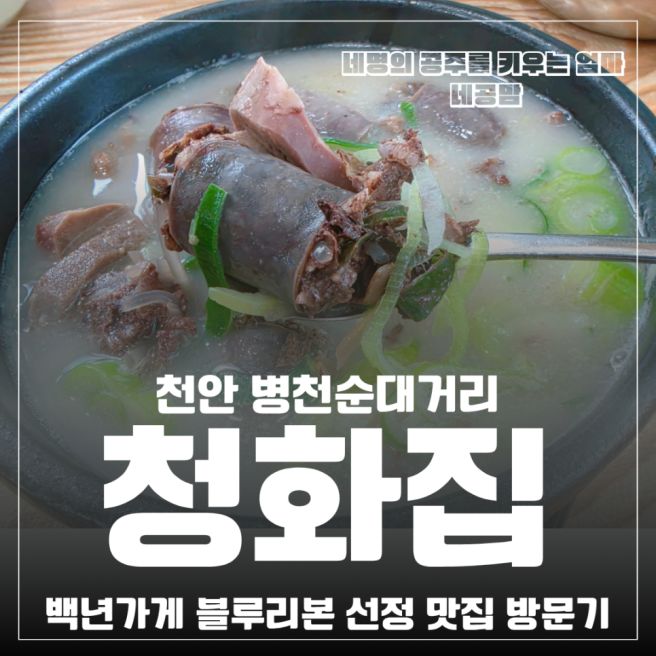 천안 병천순대거리 청화집 백년가게 블루리본 선정 맛집 방문기