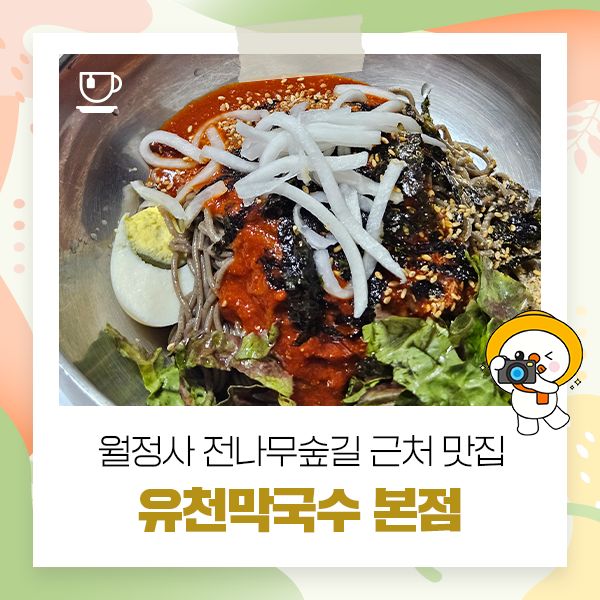 평창 블루리본 맛집, 월정사 전나무숲길 근처 맛집 유천막국수 본점