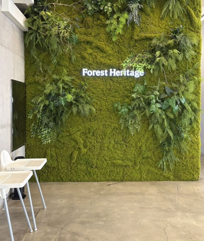 달성군 대형 카페 주차 걱정 없는 숲속 힐링 카페 포레스트 헤리티지 재방문 각!