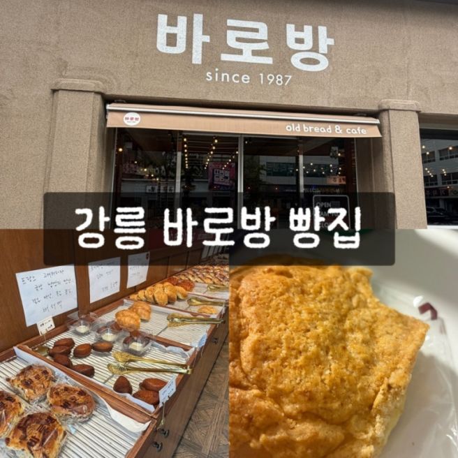 강릉 빵지순례 빵집 바로방 방문기｜옛날빵 레트로 감성 가득