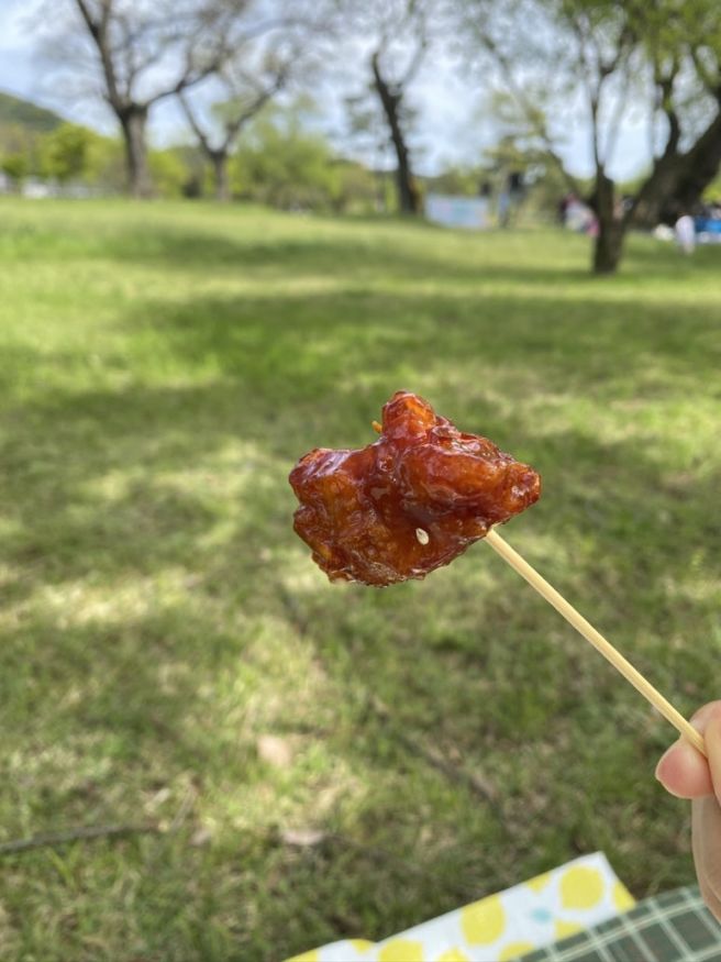경주 유명하다는 충효닭집 본점 닭강정 내돈내산 피크닉 포장후기