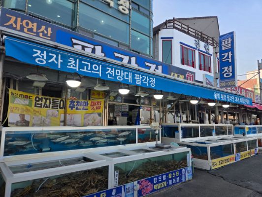 6시 내고향 울산 가자미 식당 위치·전화번호 정리｜정자항 참가자미 맛집